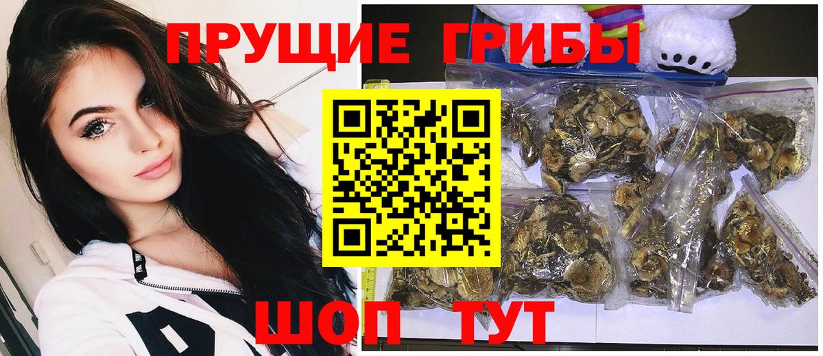 Псилоцибиновые грибы MAGIC MUSHROOMS Чернушка